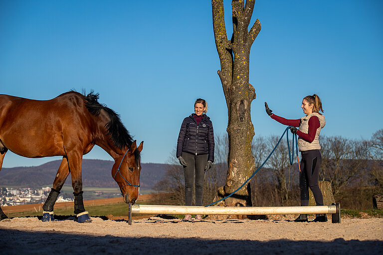 Mädchen im direkten Umgang mit dem Pferd beim Coaching